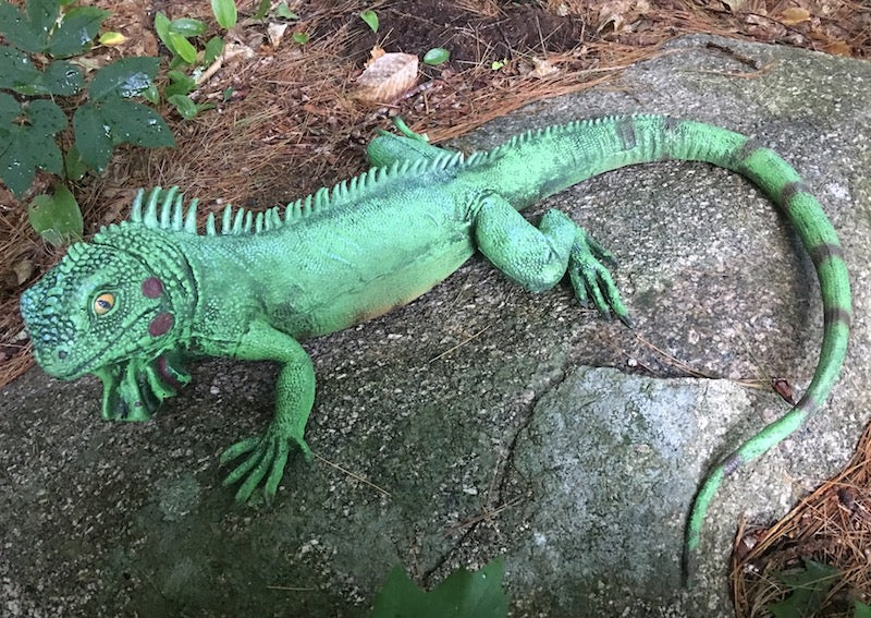 Large Lizard Prop