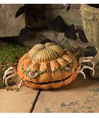 Ethan's Pumpkin Skelly Spider