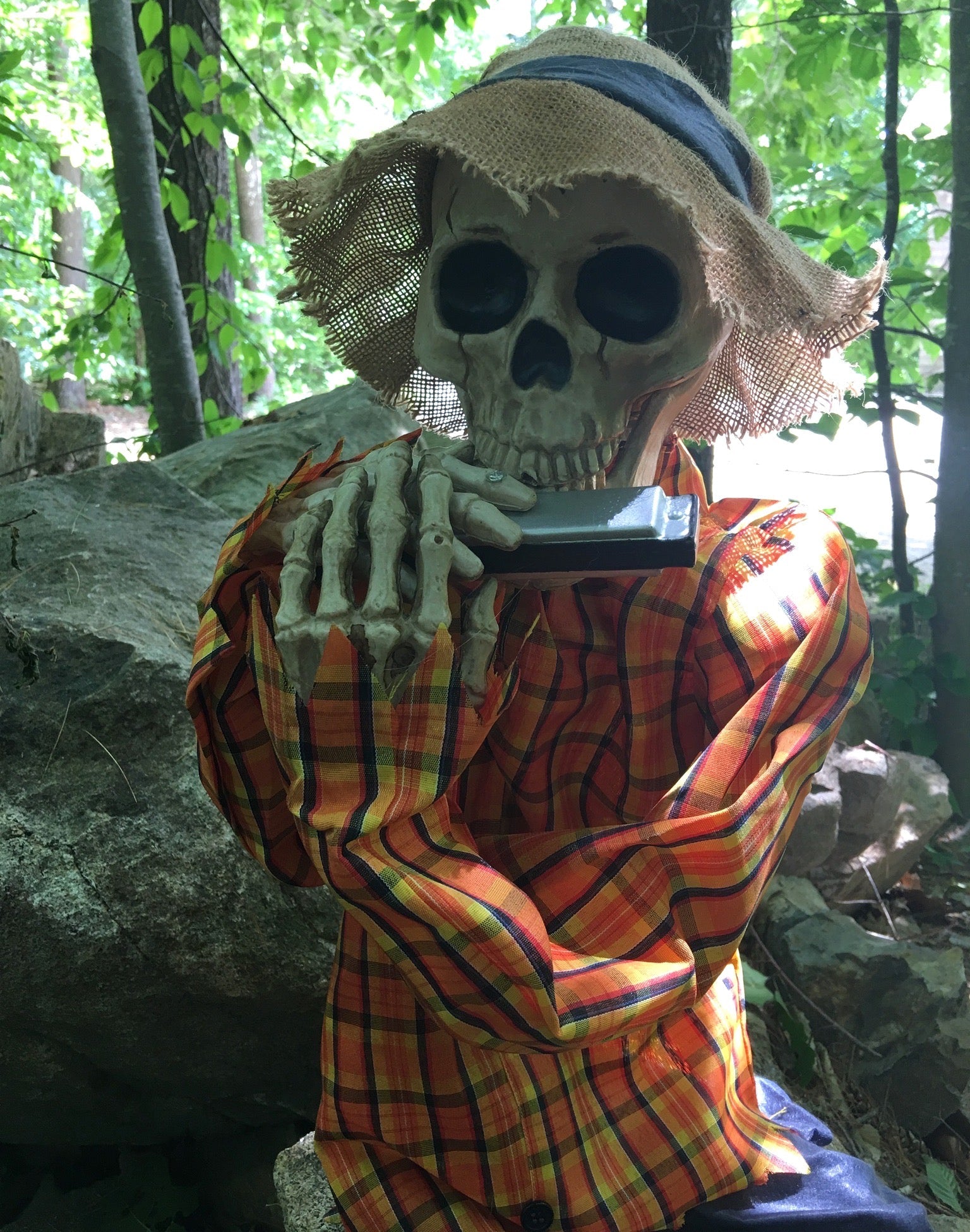 Harmonica Playing Skeleton - Animated Prop