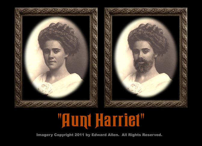 Aunt Harriet Changing Portrait