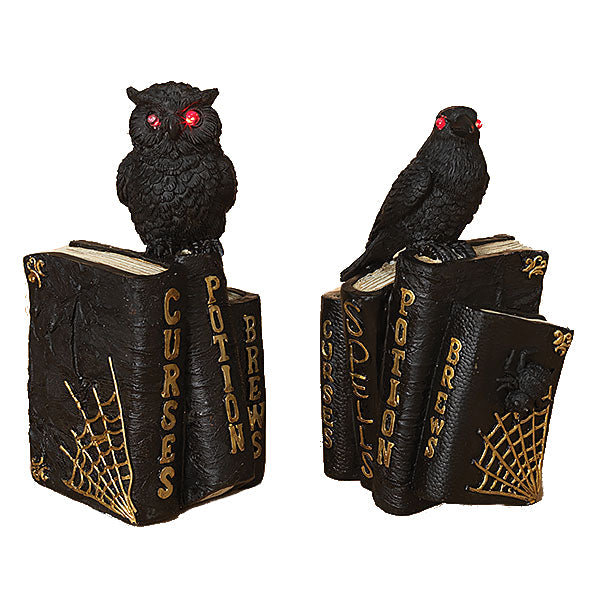 Halloween Spellbooks with Owl or Crow