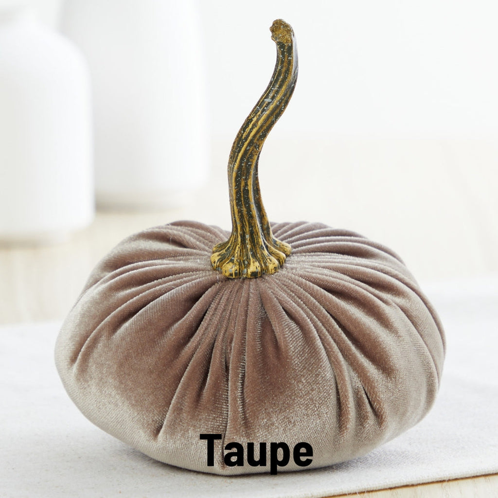 Velvet Pumpkins in Neutral Colors - Taupe